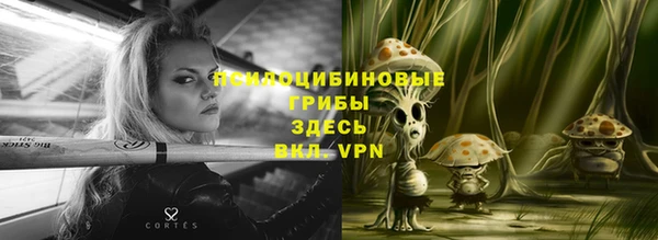 стаф Пестово