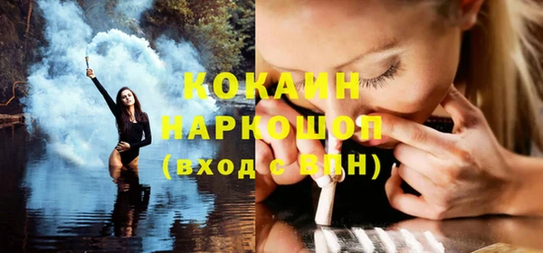 соль ск Алзамай