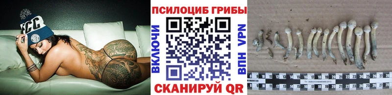 Галлюциногенные грибы прущие грибы  Избербаш 